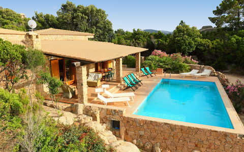 Petra Rossa: Property, Swimming Pool, House, Real Estate, Estate, Home, Building, Backyard, Villa, Vacation