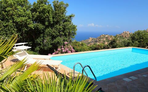 Petra Rossa: Swimming Pool, Property, Natural Landscape, Grass, Real Estate, House, Azure, Leisure, Vacation, Villa