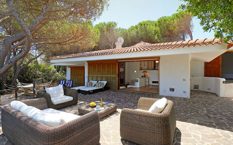 Audarya (Vgm610): Property, House, Home, Building, Real Estate, Backyard, Patio, Room, Estate, Interior Design