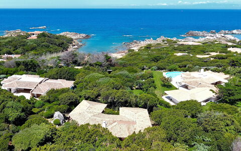 Terre Rare: Vegetation, Sea, Sky, Coast, Vacation, Botany, Tourism, Landscape, Tree, House