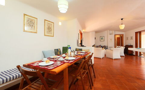 Terre Rare: Room, Property, Dining Room, Furniture, Floor, Building, Table, Interior Design, Ceiling, Real Estate