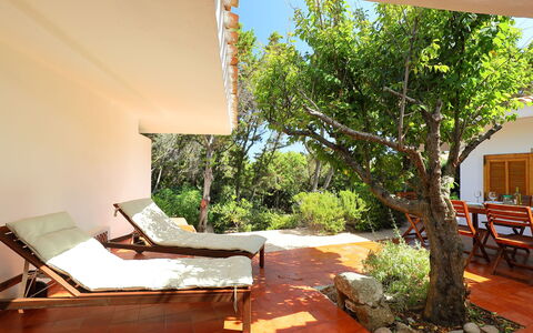 Terre Rare: Property, Room, Tree, House, Building, Real Estate, Interior Design, Furniture, Houseplant, Home