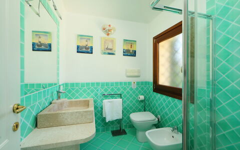 Iris: Bathroom, Room, Green, Property, Turquoise, Interior Design, Building, Architecture, Tile, House