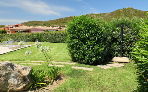 Iris: Grass, Green, Garden, Vegetation, Property, Natural Landscape, Tree, Shrub, Grass Family, House