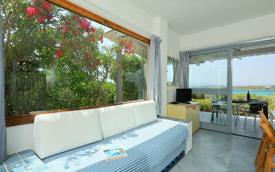 Vista Playa 4 710.4: Furniture, Property, Plant, Building, Comfort, Couch, Shade, Living Room, Flower, Interior Design