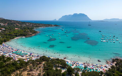 Dalila: Water, Sky, Plant, Azure, Natural Landscape, Beach, Tree, Coastal And Oceanic Landforms, Aqua