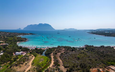 Dalila: Water, Sky, Water Resources, Plant, Azure, Natural Landscape, Vegetation, Tree, Landscape, Beach