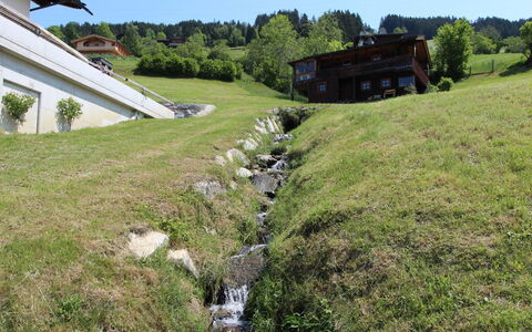 Wildbachl: Property, Natural Landscape, Grass, House, Rural Area, Land Lot, Pasture, Grassland, Cottage, Meadow