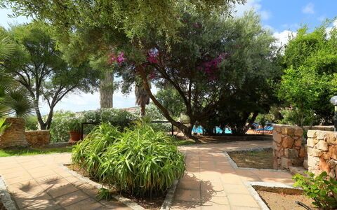 Bouganville: Property, Tree, Vegetation, Garden, Real Estate, Botany, Plant, House, Woody Plant, Spring