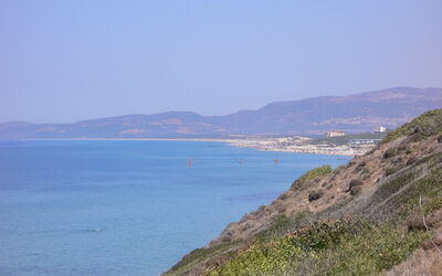 Bouganville