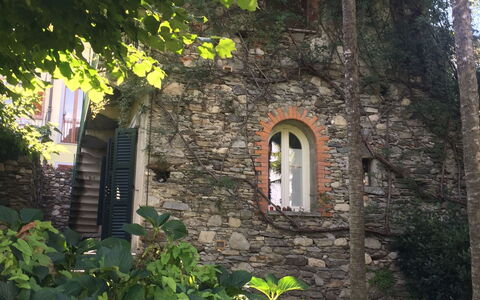 Villa Ghis - Sleeps 16: Vegetation, House, Wall, Leaf, Tree, Plant, Building, Cottage, Architecture, Arch
