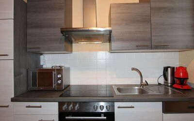 Accommodation:&nbsp;Tyrol 485.1