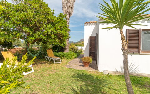 Sibilla: Plant, Sky, Property, Plant Community, Cloud, Window, Land Lot, Vegetation, Arecales, Grass