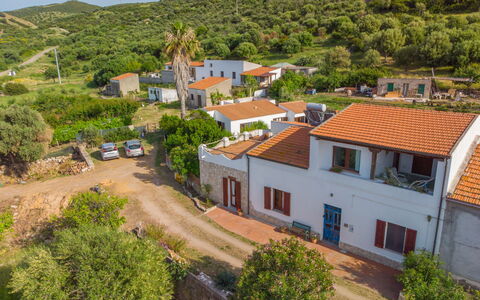 Sibilla: Plant, Building, Property, Window, Sky, Tree, Azure, House, Neighbourhood, Residential Area