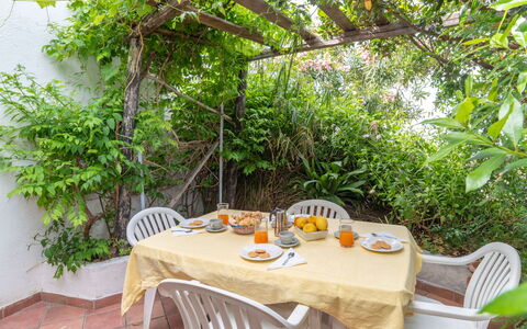 Valledoria 731: Table, Tableware, Furniture, Property, Chair, Plant, Outdoor Table, Outdoor Furniture, Interior Design, Tablecloth