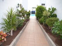 Sunny Apartment Playa Del Ingles