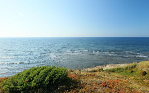 Valledoria 735: Sky, Water, Plant, Plant Community, Natural Landscape, Sunlight, Coastal And Oceanic Landforms, Grass, Terrain, Landscape