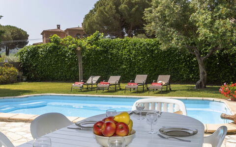 Origami: Plant, Table, Tableware, Property, Sky, Tree, Outdoor Furniture, Shade, Couch, Leisure