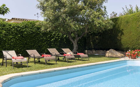 Origami: Water, Plant, Sky, Swimming Pool, Green, Botany, Chair, Shade, Tree, Outdoor Furniture