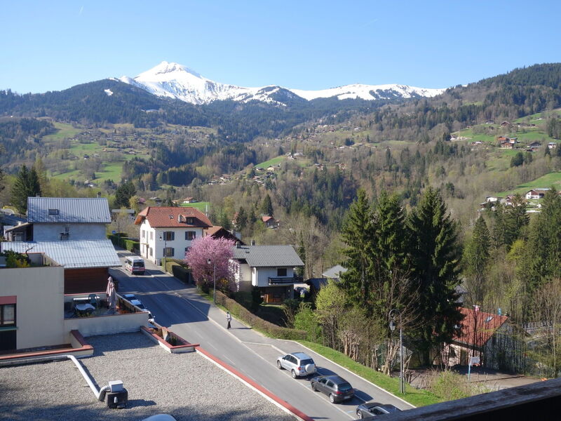 Fleurs des Alpes
