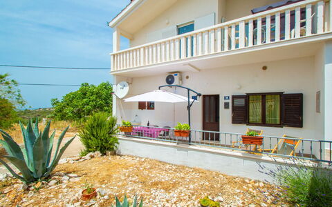 Josip: Plant, Building, Property, Sky, Window, Vegetation, Land Lot, Terrestrial Plant, Grass, House