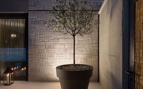 Oliva 1: Flowerpot, Light, Wall, Tree, Lighting, Architecture, Plant, Material Property, Houseplant, Interior Design