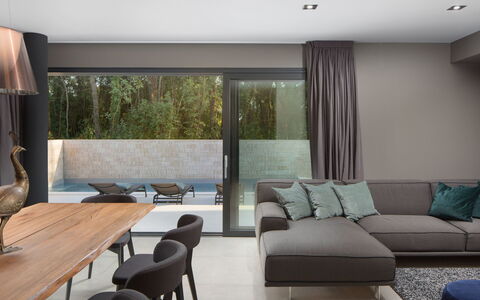 Oliva 2: Room, Interior Design, Living Room, Furniture, Property, Building, House, Architecture, Table, Floor