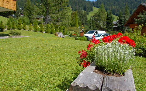 Aiguilles Dorées Iii 2: Plant, Flower, Plant Community, Mountain, Tree, Sky, Cloud, Leaf, Car, Natural Landscape