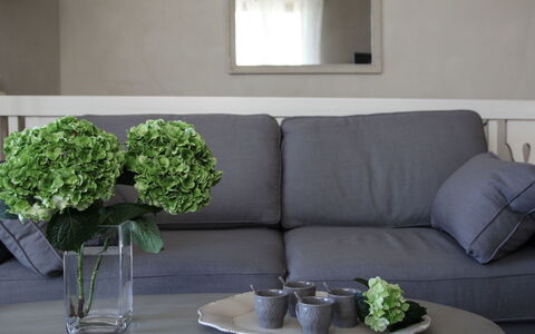 Agave: Green, Living Room, Furniture, Coffee Table, Room, Couch, Interior Design, Table, Property, Wall