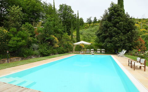 Paradiso: Swimming Pool, Property, Leisure, Real Estate, House, Vacation, Grass, Tree, Estate, Resort