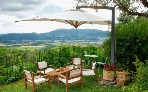 Paradiso: Umbrella, Property, Shade, Furniture, Grass, Table, Patio, Real Estate, Tree, Building
