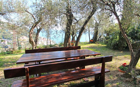 Italo: Outdoor Bench, Plant, Furniture, Picnic Table, Tree, Wood, Outdoor Furniture, Table, Shade
