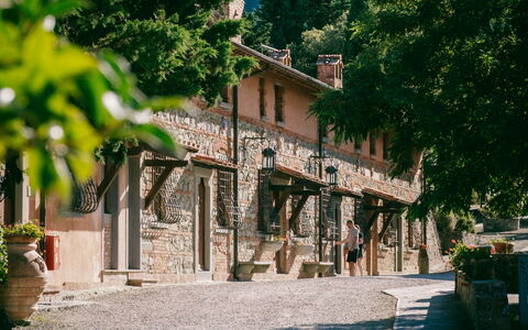 Fattoria Fronzano: Sky, Property, Plant, Building, Azure, Road Surface, Tree, Shade, Mountain, Rural Area
