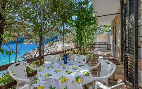 Ruža: Furniture, Table, Chair, Outdoor Furniture, Plant, Interior Design, Building, Shade, Tablecloth, Tree