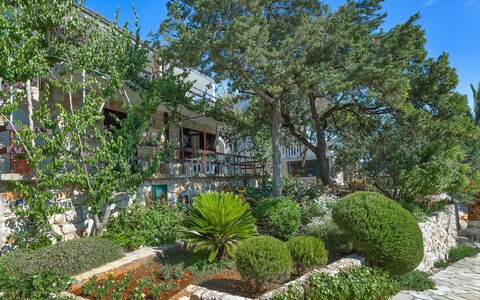 Martina: Property, Real Estate, Tree, Vegetation, House, Garden, Home, Plant, Yard, Building
