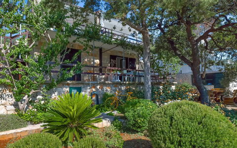 Martina: Plant, Property, Building, Plant Community, Window, Tree, House, Neighbourhood, Residential Area, Arecales
