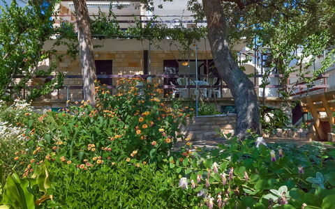 Martina: Flower, Plant, Building, Property, Window, Tree, Leaf, Sky, House, Vegetation