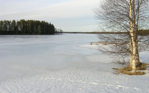 Herkkola: Waterway, Bank, Watercourse, Lake, Cottage, Forest, Channel, Reservoir, Log Cabin