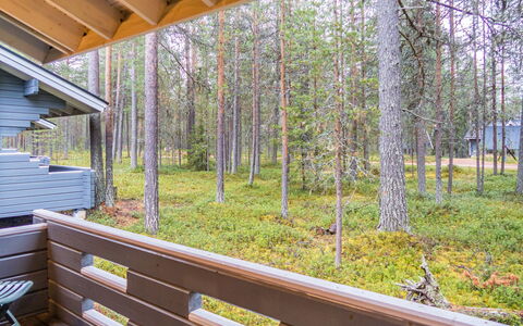 Purnukylä 6: Wood, Siding, Hardwood, Wood Stain, Plank, Daylighting