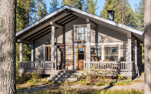 Putilanranta: Wood, Cottage, Home, Log Cabin, Siding, Hardwood, Porch, Woodland, Larch, Plank