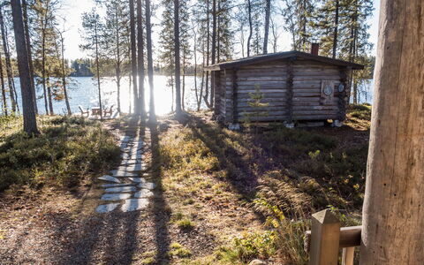 Putilanranta: Tree, Wood, Forest, Woodland, Trunk, Log Cabin, Larch, Cottage