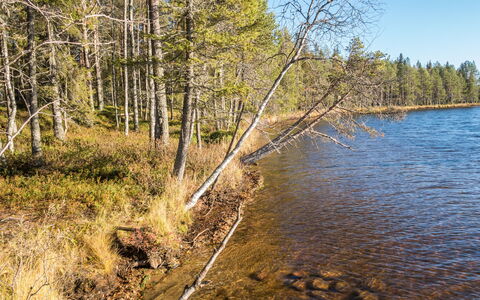 Putilanranta: Water, Water Resources, Body Of Water, Nature, Natural Environment, Leaf, Natural Landscape, Waterway, Bank, Watercourse