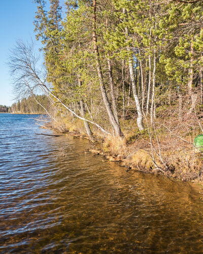 Putilanranta