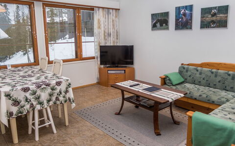Karhunvartijan Linna B14: Furniture, Interior Design, Wood, Flooring, Floor, Ceiling, Room, Couch, Living Room, Apartment