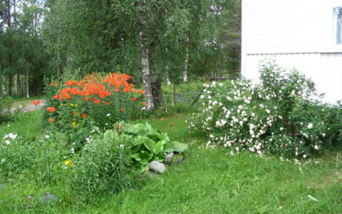 Rantala: Wood, Siding, Cottage, House, Home, Plank, Garden Buildings, Log Cabin, Hardwood, Porch