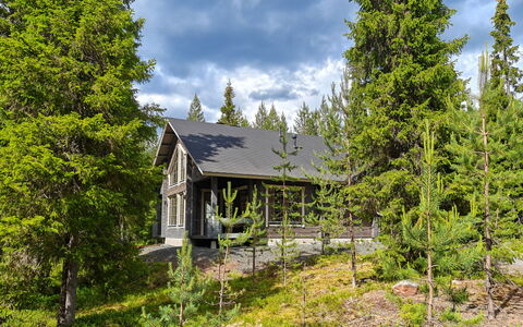 Ihtingin Koskikara: Wood, Siding, Cottage, House, Home, Plank, Garden Buildings, Log Cabin, Hardwood, Porch