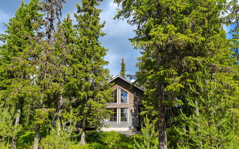 Ihtingin Koskikara: Tree, Forest, Cottage, Larch, Woodland, Tropical And Subtropical Coniferous Forests, Evergreen