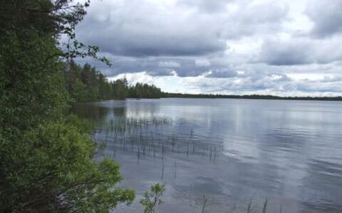 Kumpulahti: Wood, Siding, Cottage, House, Home, Plank, Garden Buildings, Log Cabin, Hardwood, Porch