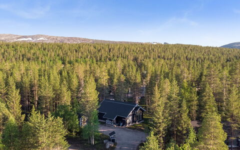 Aspilevi: Tree, Cottage, Forest, Woodland, Larch, Log Cabin, Evergreen, Hut