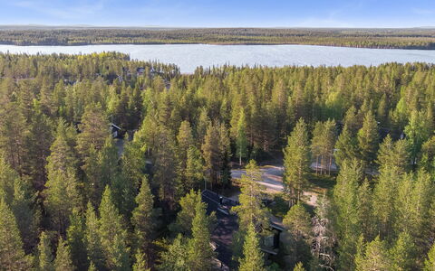 Aspilevi: Tree, Natural Environment, Forest, Landscape, Ecoregion, Nature Reserve, Tropical And Subtropical Coniferous Forests